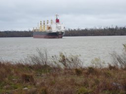 Louisiana_2007-2008-002